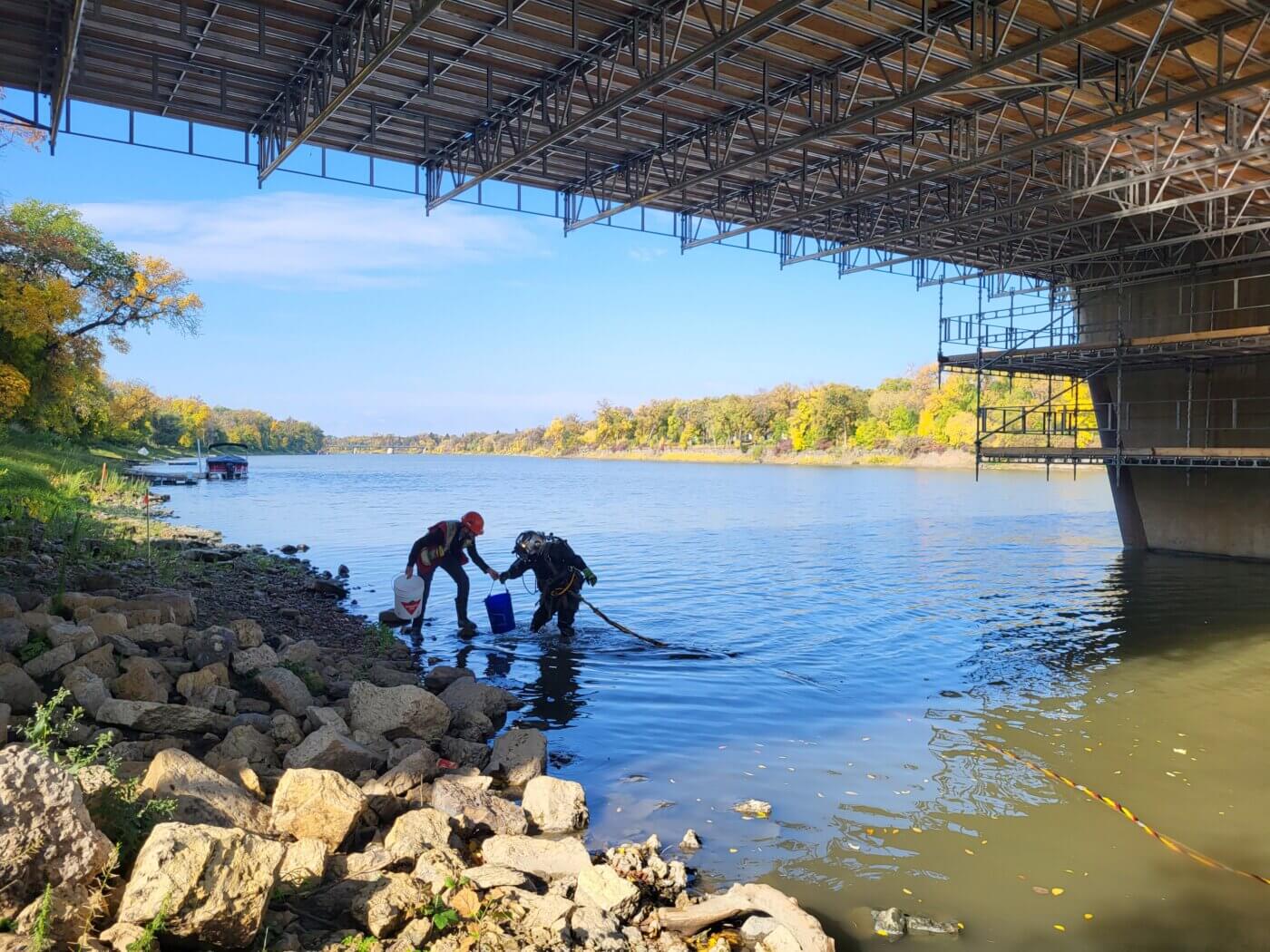 A diver passes a bucket containing mussels to a biologist on shore. The mussel salvage is being conducted below the St. Vital Bridge where riprap will be placed.